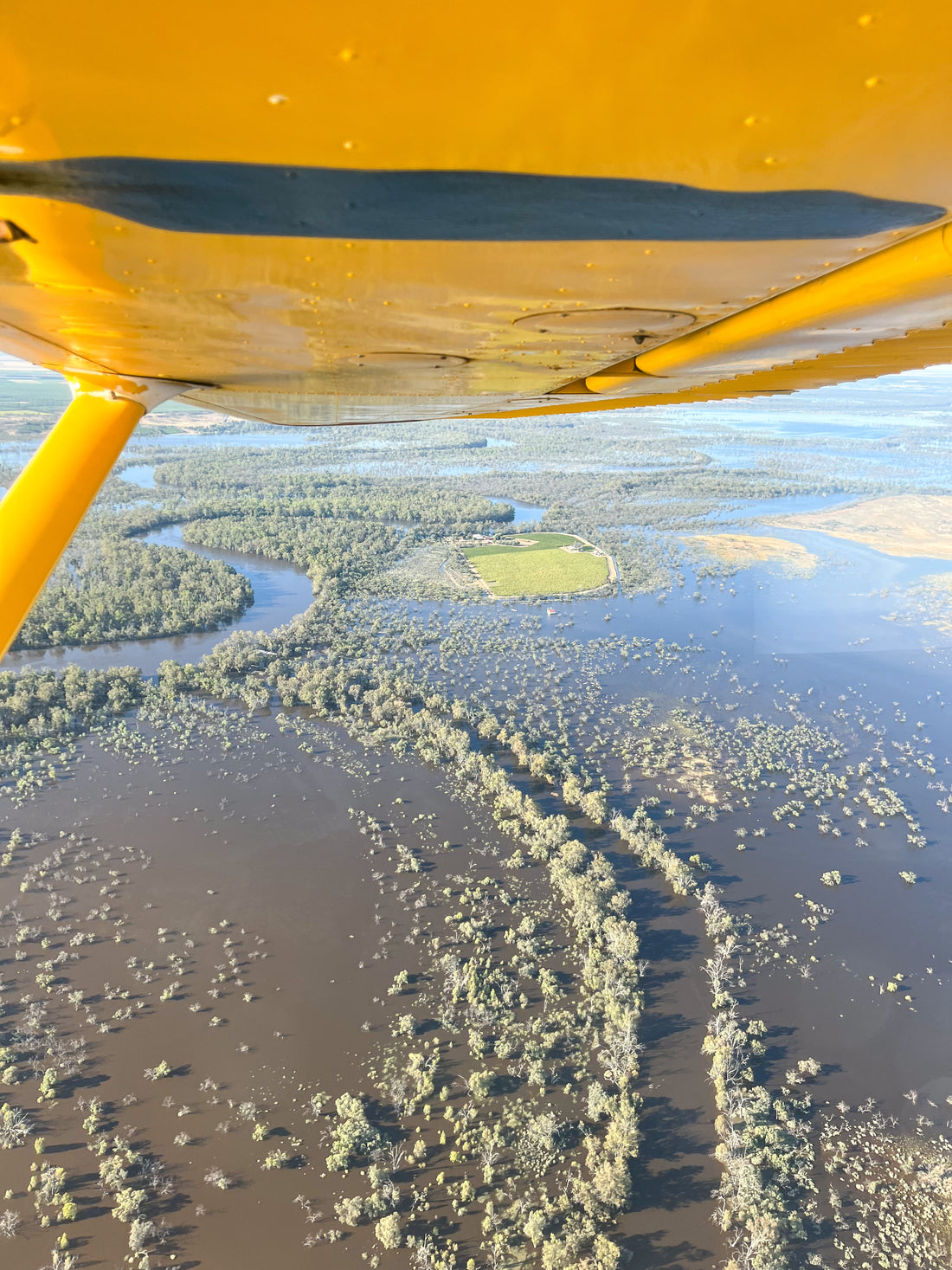 Flights departing Renmark daily from the 28th of December